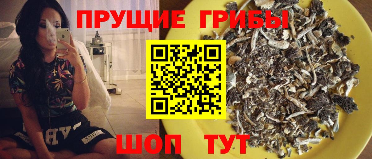 Галлюциногенные грибы прущие грибы  Галлюциногенные грибы GOLDEN TEACHER  Иркутск  Вход с VPN 